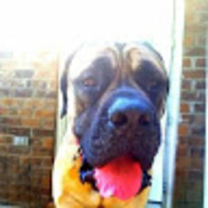 Meet your Posher, Estrbuny22_